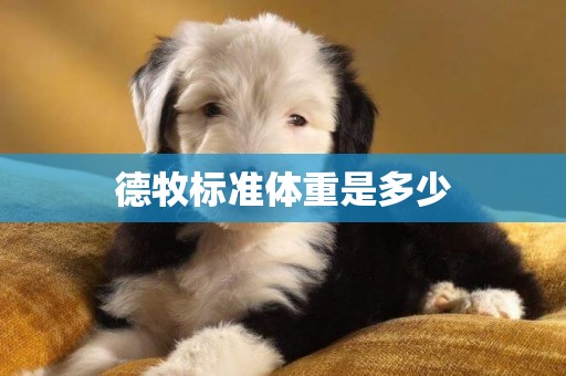 德牧標準體重是多少