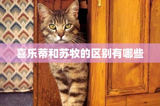 喜樂蒂和蘇牧的區別有哪些