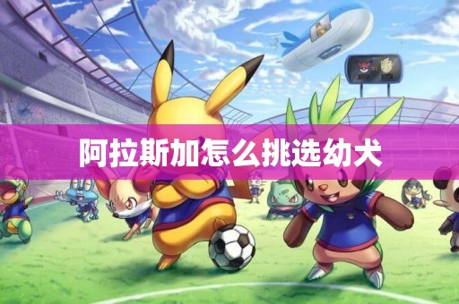 阿拉斯加怎么挑選幼犬