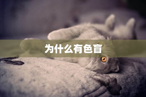為什么有色盲