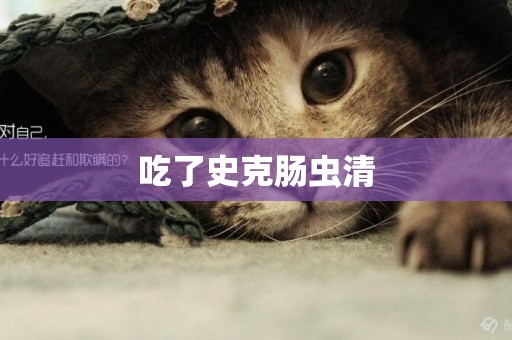 吃了史克腸蟲清