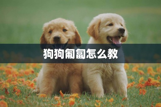 狗狗匍匐怎么教