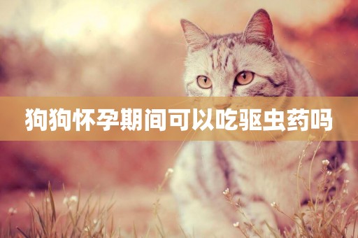 狗狗懷孕期間可以吃驅蟲藥嗎