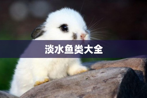 淡水魚類大全