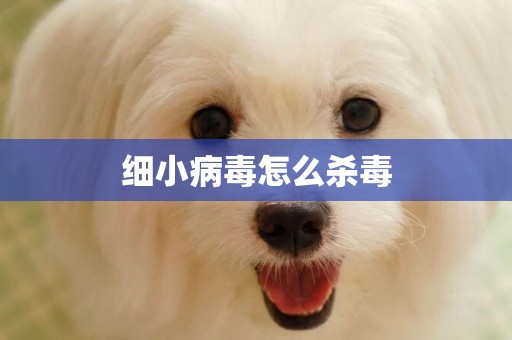 細小病毒怎么殺毒