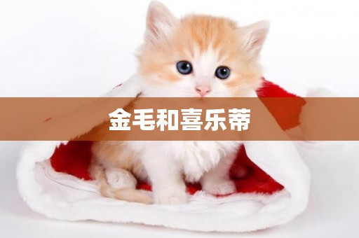 金毛和喜樂蒂