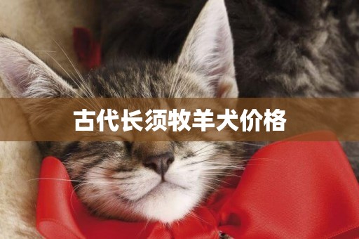 古代長須牧羊犬價格