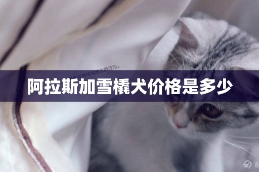 阿拉斯加雪橇犬價格是多少