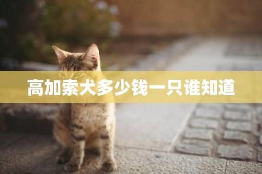 高加索犬多少錢一只誰知道