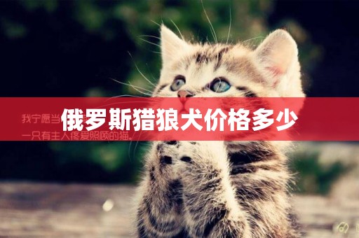 俄羅斯獵狼犬價格多少