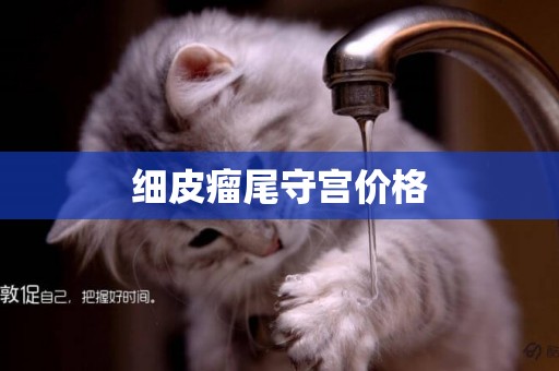 細皮瘤尾守宮價格