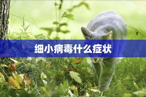 細小病毒什么癥狀