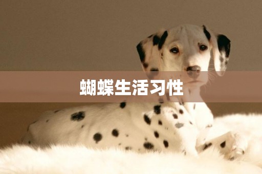 蝴蝶生活習性
