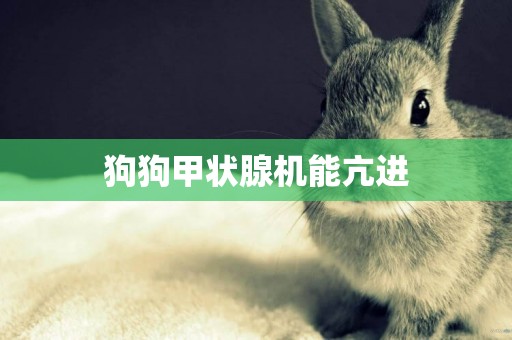 狗狗甲狀腺機能亢進