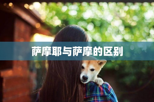 薩摩耶與薩摩的區別
