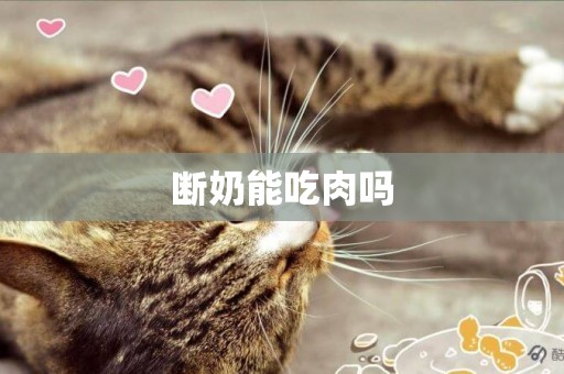 斷奶能吃肉嗎