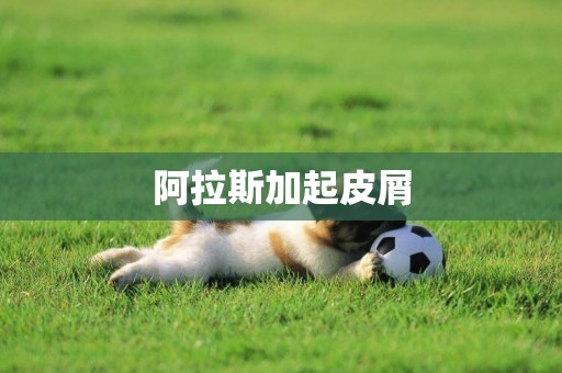 阿拉斯加起皮屑