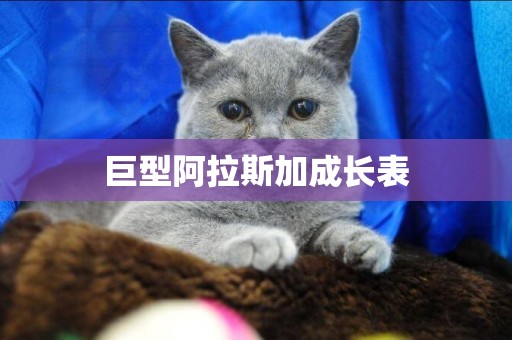 巨型阿拉斯加成長表