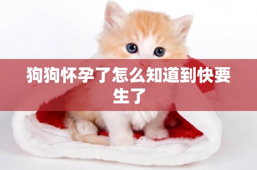 狗狗懷孕了怎么知道到快要生了