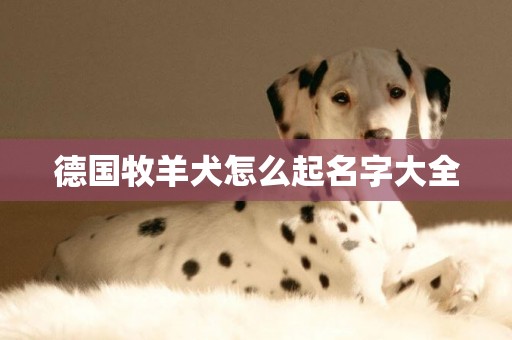 德國牧羊犬怎么起名字大全