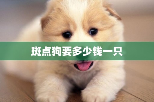 斑點狗要多少錢一只