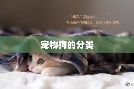 寵物狗的分類