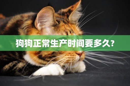 狗狗正常生產時間要多久?