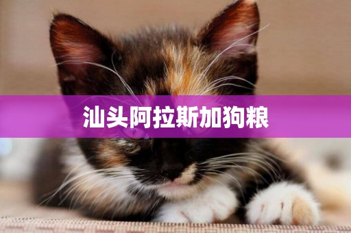 汕頭阿拉斯加狗糧