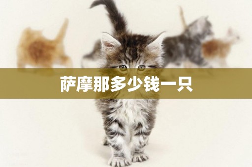 薩摩那多少錢一只