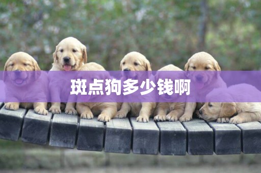 斑點狗多少錢啊