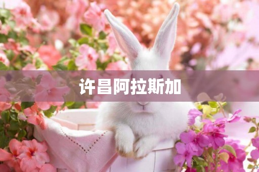 許昌阿拉斯加
