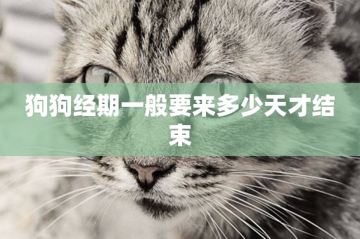狗狗經期一般要來多少天才結束