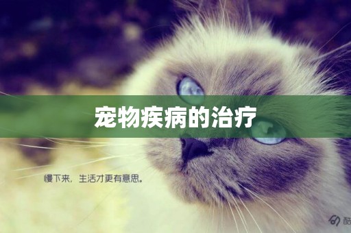 寵物疾病的治療