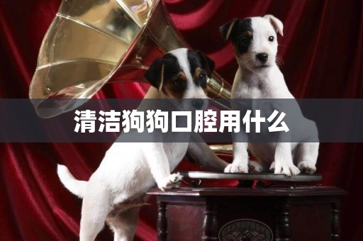 清潔狗狗口腔用什么