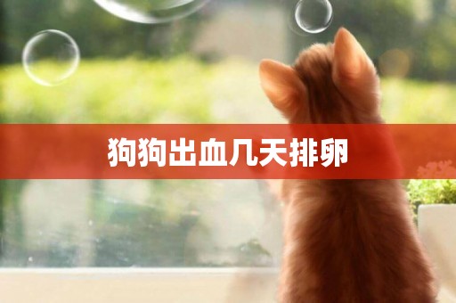 狗狗出血幾天排卵