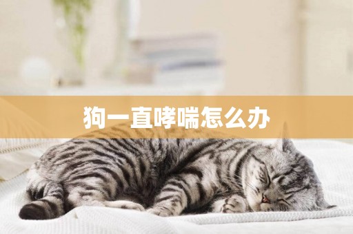 狗一直哮喘怎么辦
