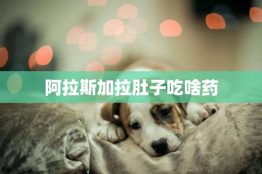 阿拉斯加拉肚子吃啥藥
