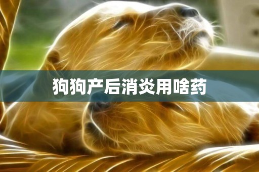 狗狗產后消炎用啥藥