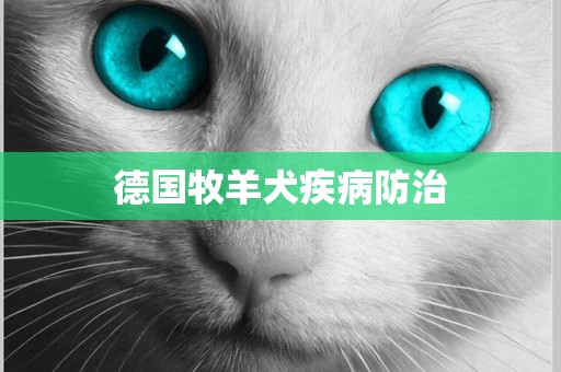 德國牧羊犬疾病防治