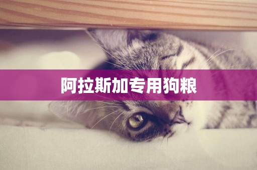 阿拉斯加專用狗糧