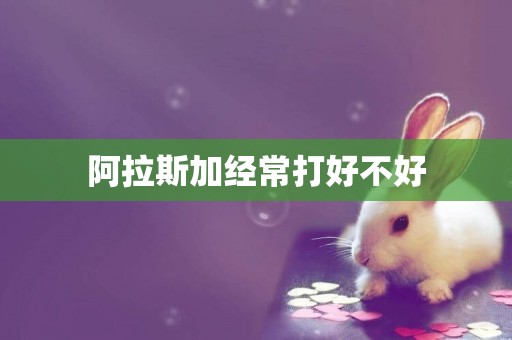 阿拉斯加經常打好不好