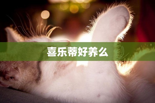 喜樂蒂好養么