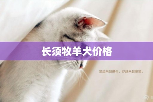 長須牧羊犬價格