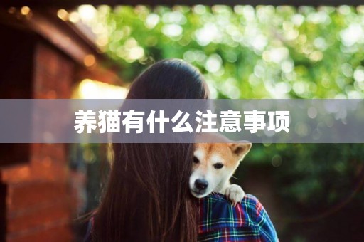 養貓有什么注意事項