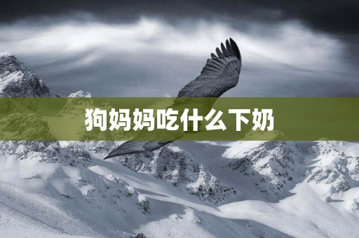 狗媽媽吃什么下奶