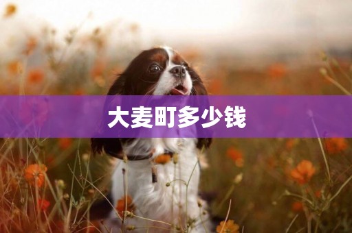 大麥町多少錢