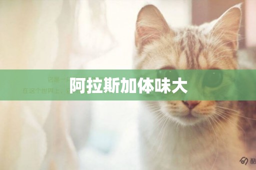阿拉斯加體味大