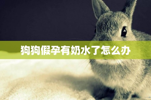 狗狗假孕有奶水了怎么辦