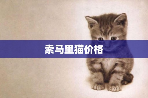 索馬里貓價格
