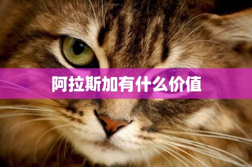 阿拉斯加有什么價值